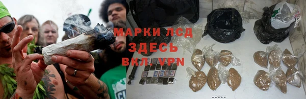 альфа пвп Гусев