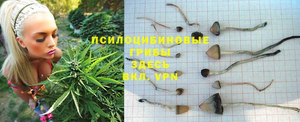 марихуана Гусиноозёрск