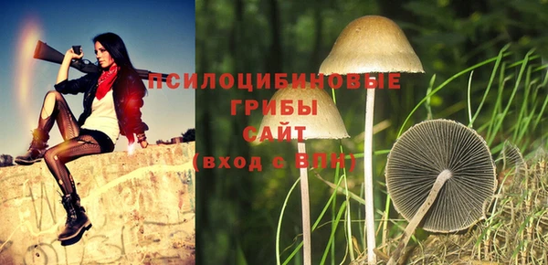 альфа пвп Гусев