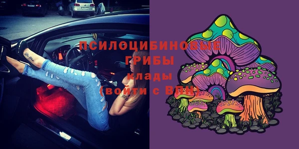 марихуана Гусиноозёрск