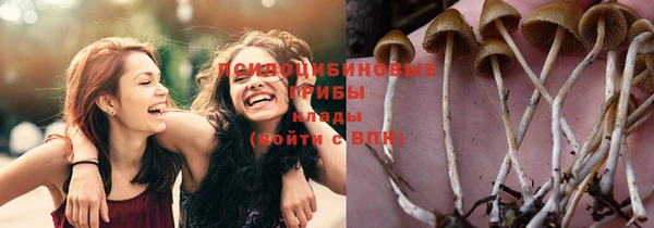 марихуана Гусиноозёрск